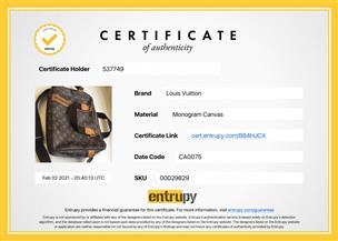 Louis Vuitton Babylone Shoulder Bag w/ Entrupy Certificate for Sale